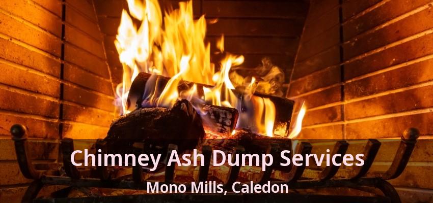 Chimney Ash Dump Services Mono Mills, Caledon - ON