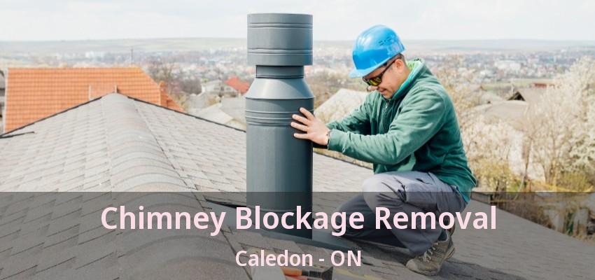 Chimney Blockage Removal Caledon - ON
