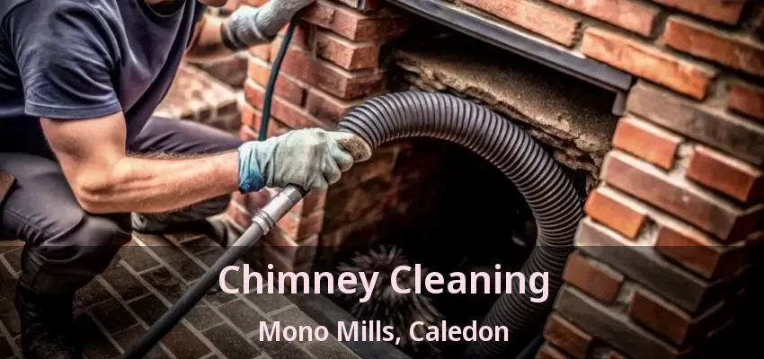 Chimney Cleaning Mono Mills, Caledon - ON