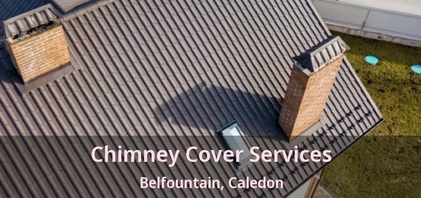 Chimney Cover Services Belfountain, Caledon - ON