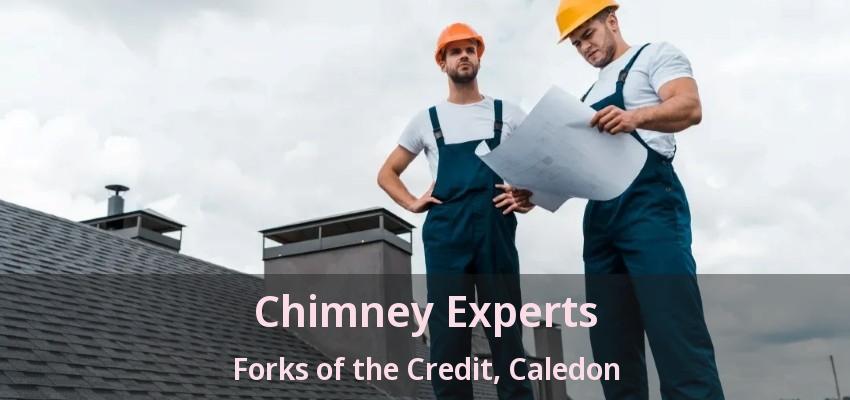 Chimney Experts Forks of the Credit, Caledon - ON