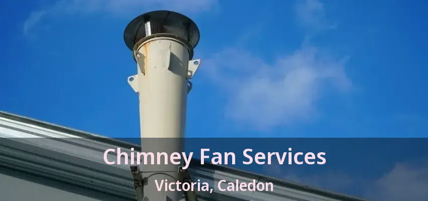 Chimney Fan Services Victoria, Caledon - ON