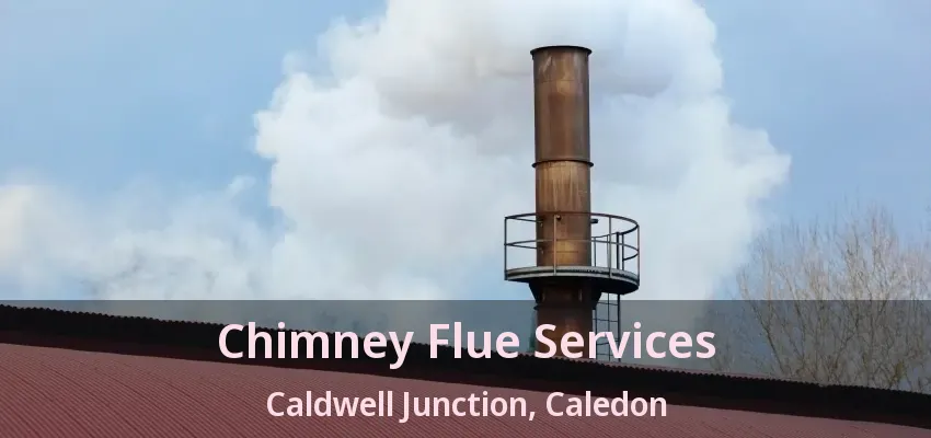 Chimney Flue Services Caldwell Junction, Caledon - ON