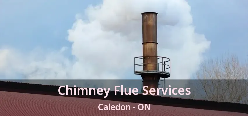 Chimney Flue Services Caledon - ON