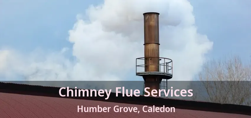 Chimney Flue Services Humber Grove, Caledon - ON