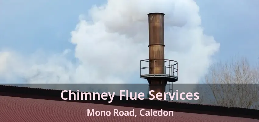 Chimney Flue Services Mono Road, Caledon - ON
