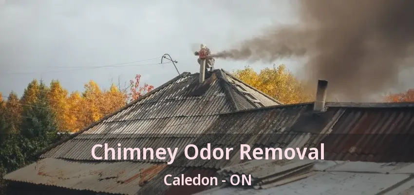 Chimney Odor Removal Caledon - ON