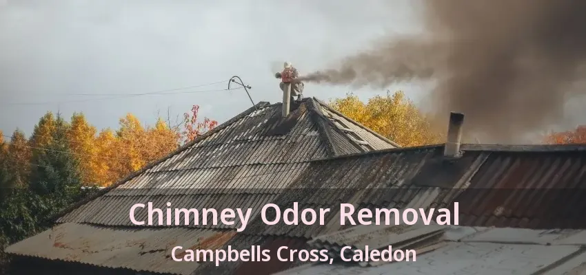 Chimney Odor Removal Campbells Cross, Caledon - ON
