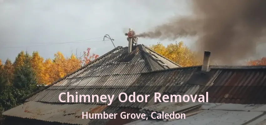 Chimney Odor Removal Humber Grove, Caledon - ON