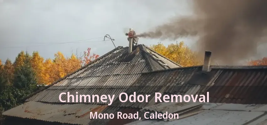 Chimney Odor Removal Mono Road, Caledon - ON