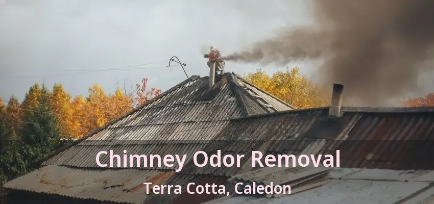 Chimney Odor Removal Terra Cotta, Caledon - ON