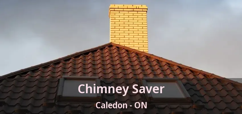 Chimney Saver Caledon - ON