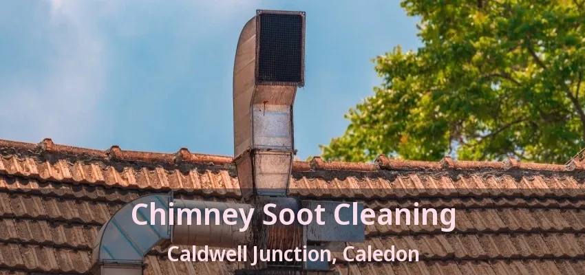 Chimney Soot Cleaning Caldwell Junction, Caledon - ON