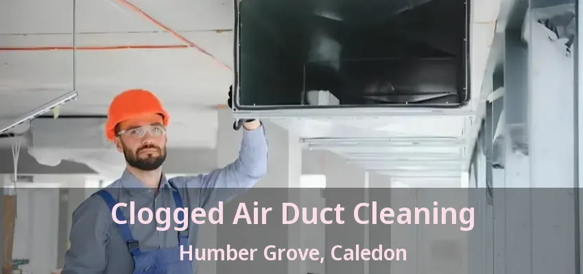 Clogged Air Duct Cleaning Humber Grove, Caledon - ON