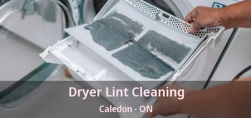 Dryer Lint Cleaning Caledon - ON