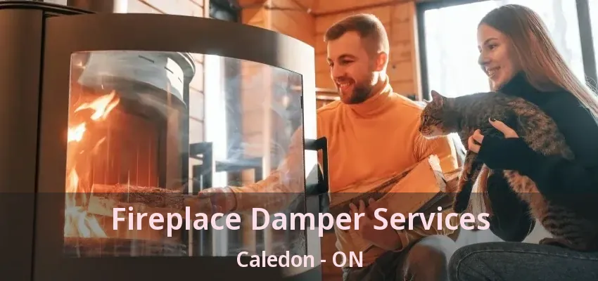 Fireplace Damper Services Caledon - ON