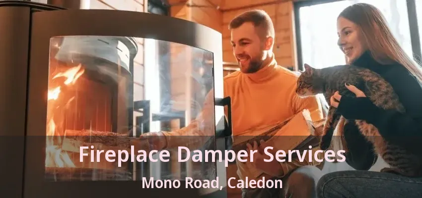 Fireplace Damper Services Mono Road, Caledon - ON