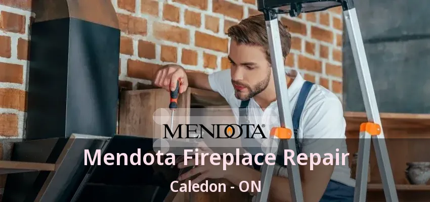 Mendota Fireplace Repair Caledon - ON