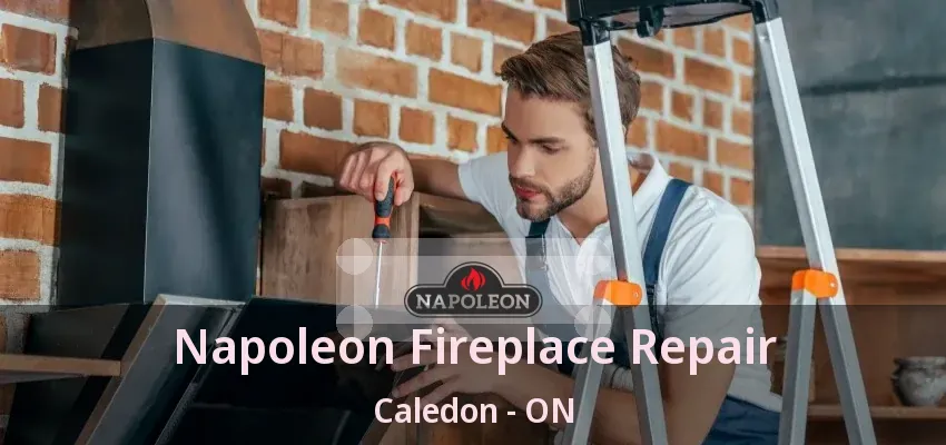 Napoleon Fireplace Repair Caledon - ON