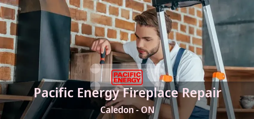 Pacific Energy Fireplace Repair Caledon - ON