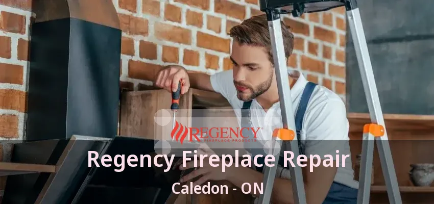 Regency Fireplace Repair Caledon - ON