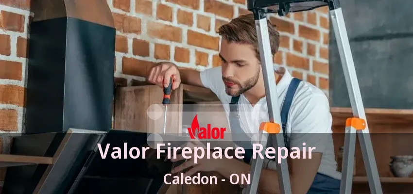 Valor Fireplace Repair Caledon - ON