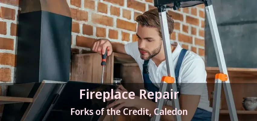 Fireplace Repair Forks of the Credit, Caledon - ON