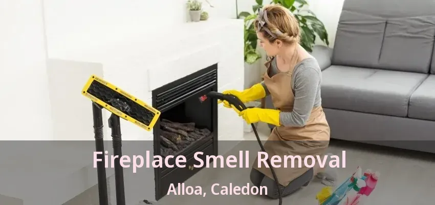 Fireplace Smell Removal Alloa, Caledon - ON