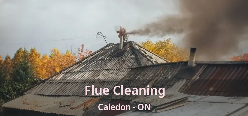 Flue Cleaning Caledon - ON
