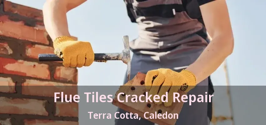 Flue Tiles Cracked Repair Terra Cotta, Caledon - ON
