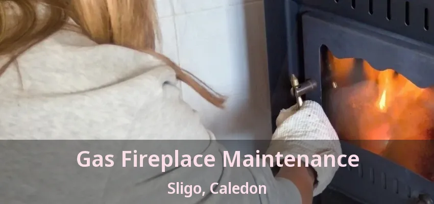 Gas Fireplace Maintenance Sligo, Caledon - ON