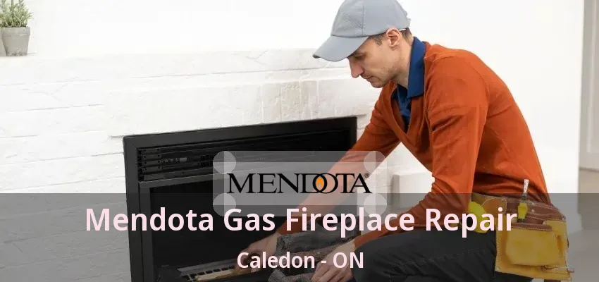 Mendota Gas Fireplace Repair Caledon - ON