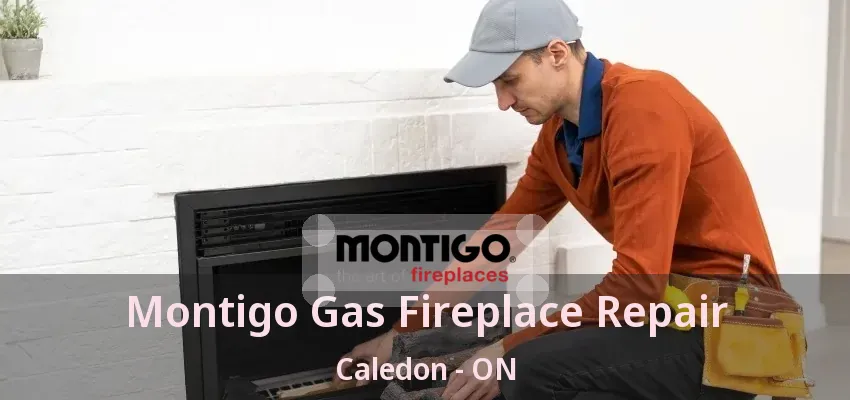 Montigo Gas Fireplace Repair Caledon - ON