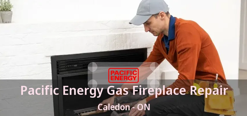 Pacific Energy Gas Fireplace Repair Caledon - ON