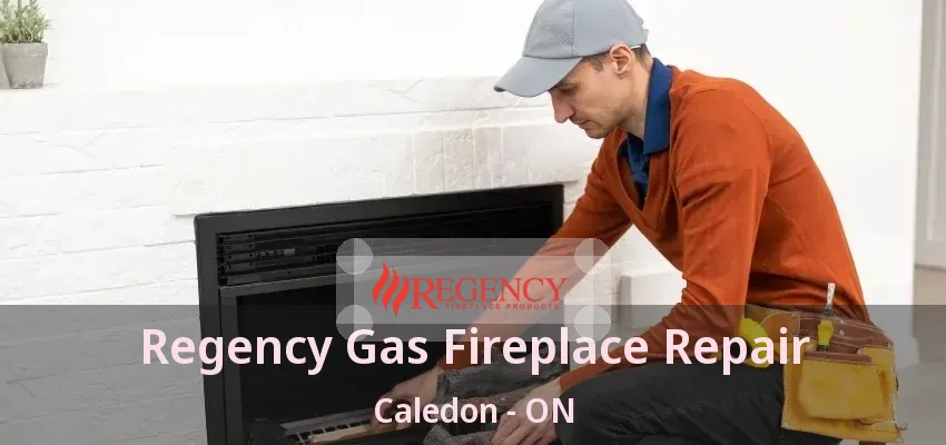 Regency Gas Fireplace Repair Caledon - ON