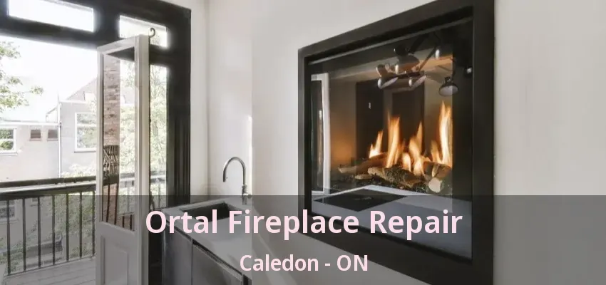 Ortal Fireplace Repair Caledon - ON
