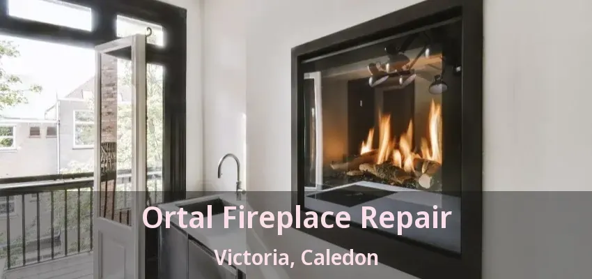 Ortal Fireplace Repair Victoria, Caledon - ON