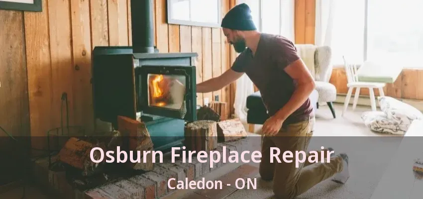 Osburn Fireplace Repair Caledon - ON