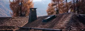 Chimney Animal Removal Caledon